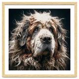 Old Dog 01 thumbnail