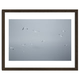 Flying seagulls in the winter sky thumbnail