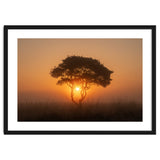 Tree at sunrise thumbnail