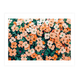 Floral Bliss, Nature Photography Garden Meadow, Blush Orange Coral Summer Flowers Botanical (Print Only) thumbnail