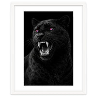 Black leopard with colorful eyes portrait