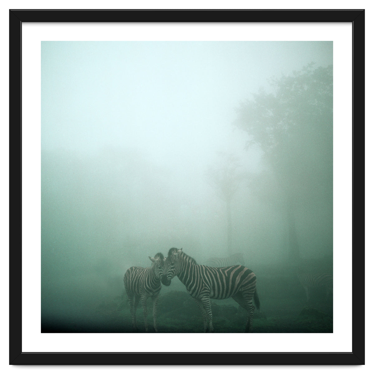 Silence of breath - 11