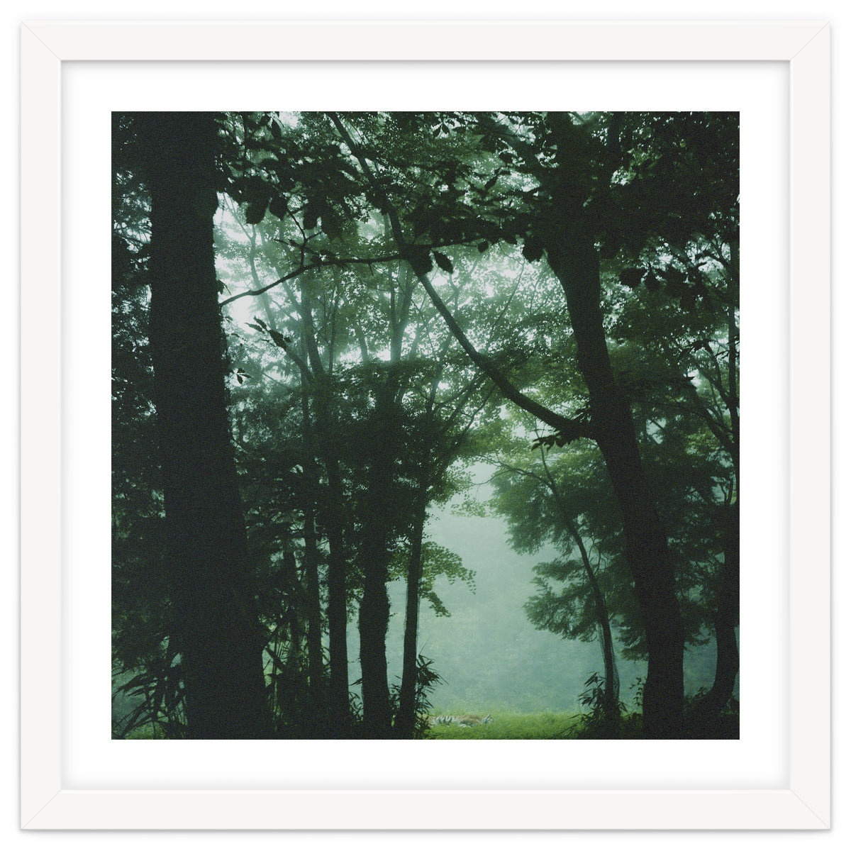 Silence of breath - 13