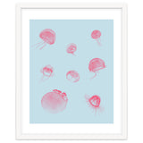 Jellyfish thumbnail
