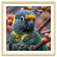 Yellow Headed Amazon Parrot Close Up Portrait