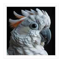 White Cockatoo Parrot With Orange Crest  (Print Only)