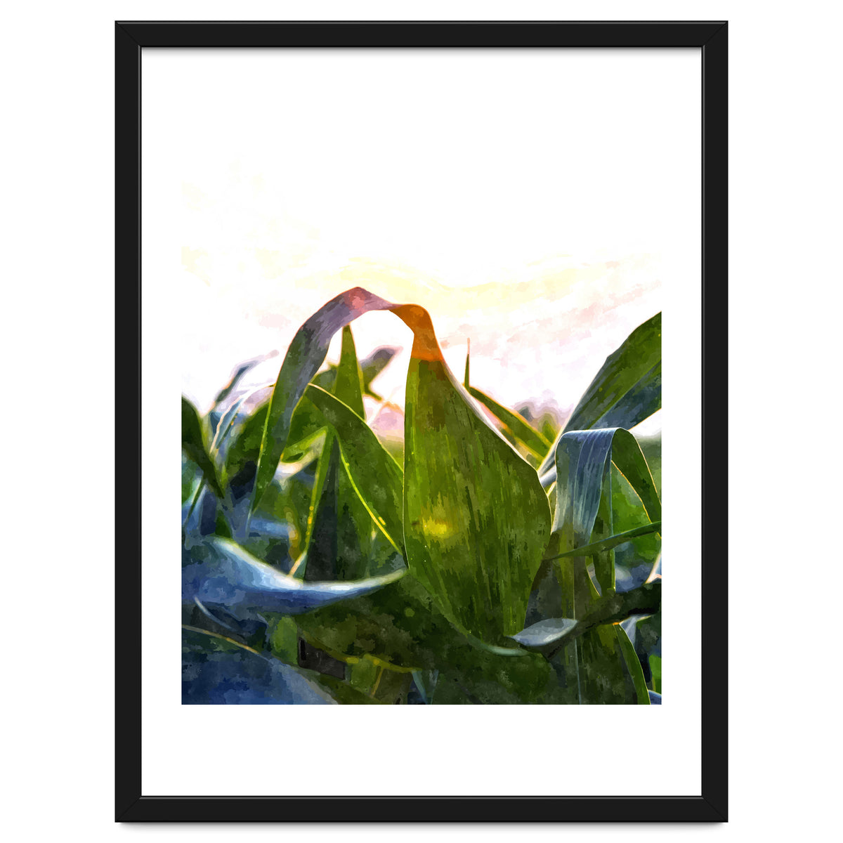 Hope With Abstraction