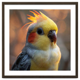 Cockatiel Parrot Portrait With Orange Cheeks thumbnail