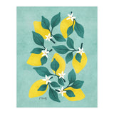 Lemon Blossom (Print Only) thumbnail