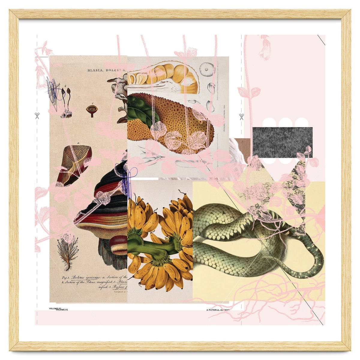 Abstract White Daydream Flower