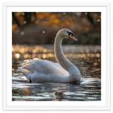 Graceful Swan Gliding On Reflective Water Surface thumbnail
