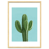 Blue Cactus 1 thumbnail