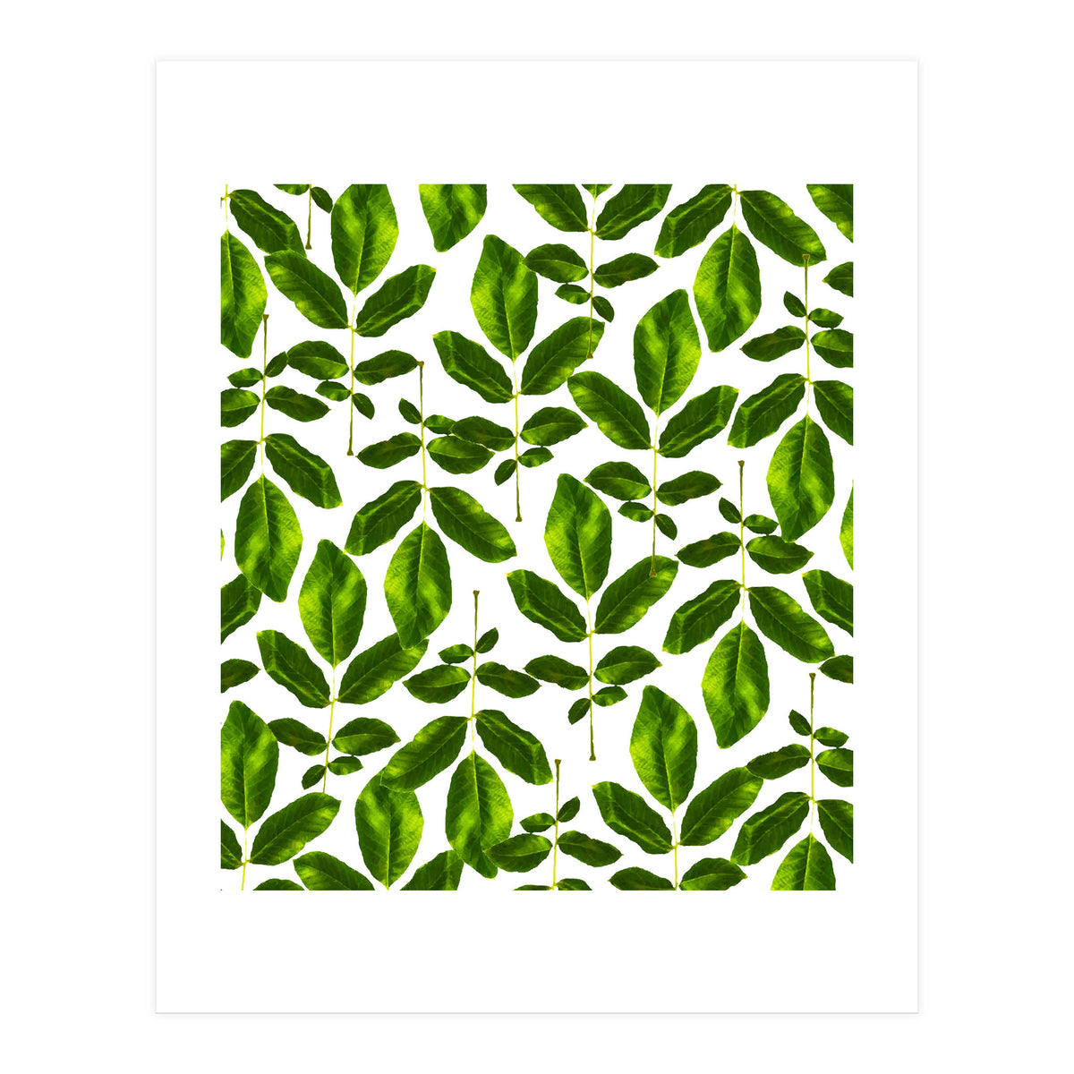 Natural Cure #society6 #decor #buyart (Print Only)