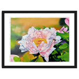 peony thumbnail