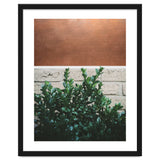 Plant + Copper thumbnail