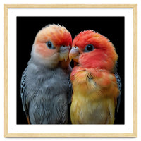 Two Lovebirds Nuzzle Together