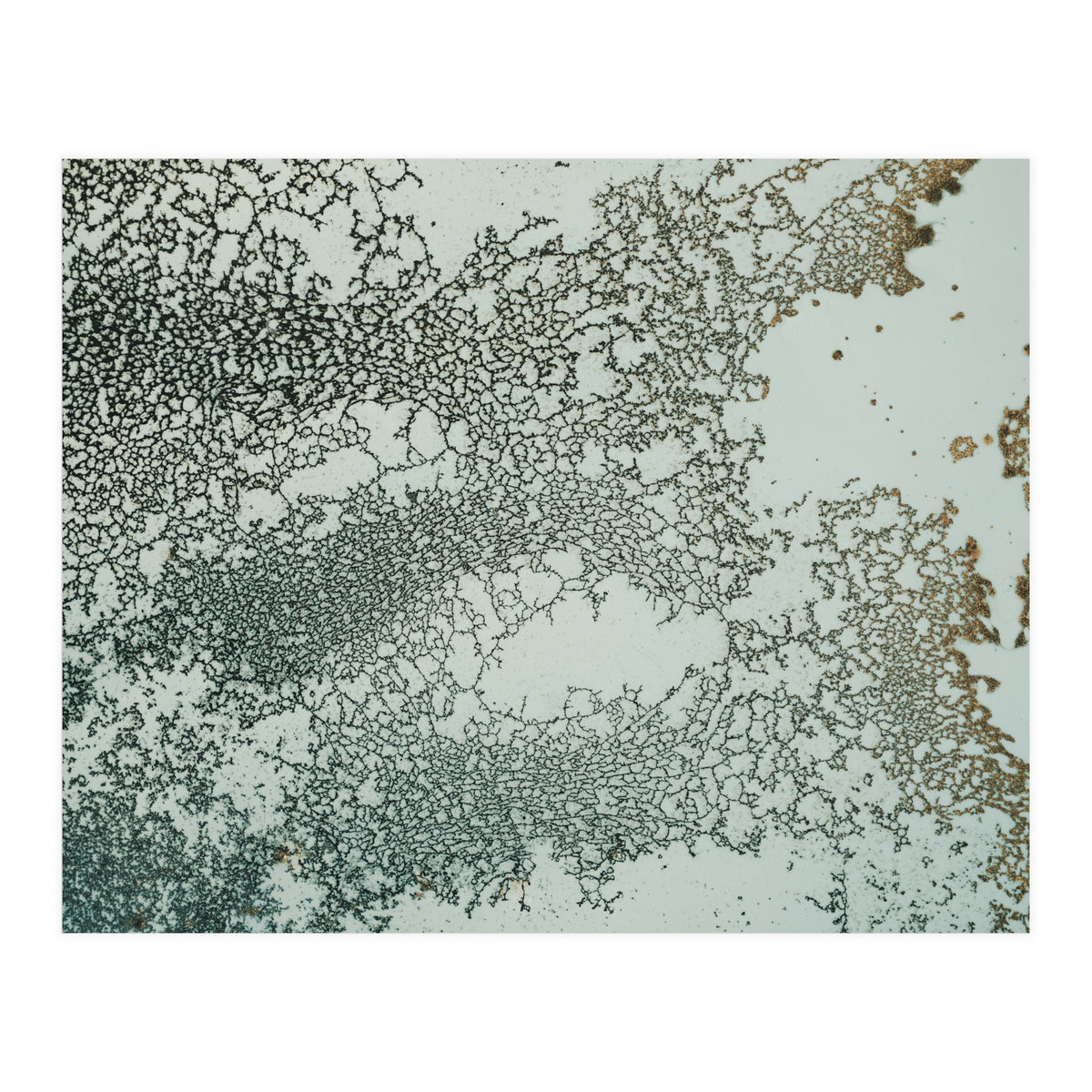 Synchronize (Print Only)