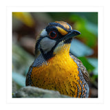 Close-up of a Yellow Bird featuring a Striking Red eye (Print Only) thumbnail