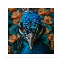 Close Up Portrait Of A Peacock Head (Print Only)