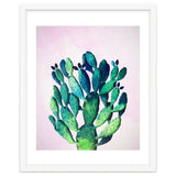 Cactus Three Ways thumbnail