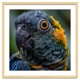 Close Up Of A Wet Macaw Parrot Head thumbnail