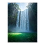 Lush Sun-Drenched Autumn Forest (Print Only) thumbnail