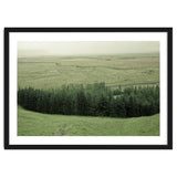 Small forest - Iceland thumbnail