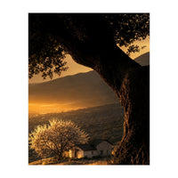 The Hill (Print Only)