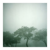 Silence of breath - 17 (Print Only) thumbnail