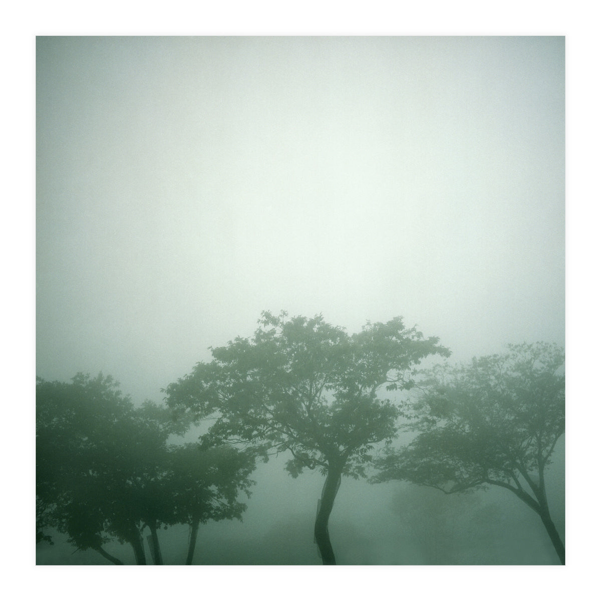 Silence of breath - 17 (Print Only)