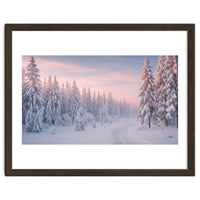 Winter’s Gentle Embrace