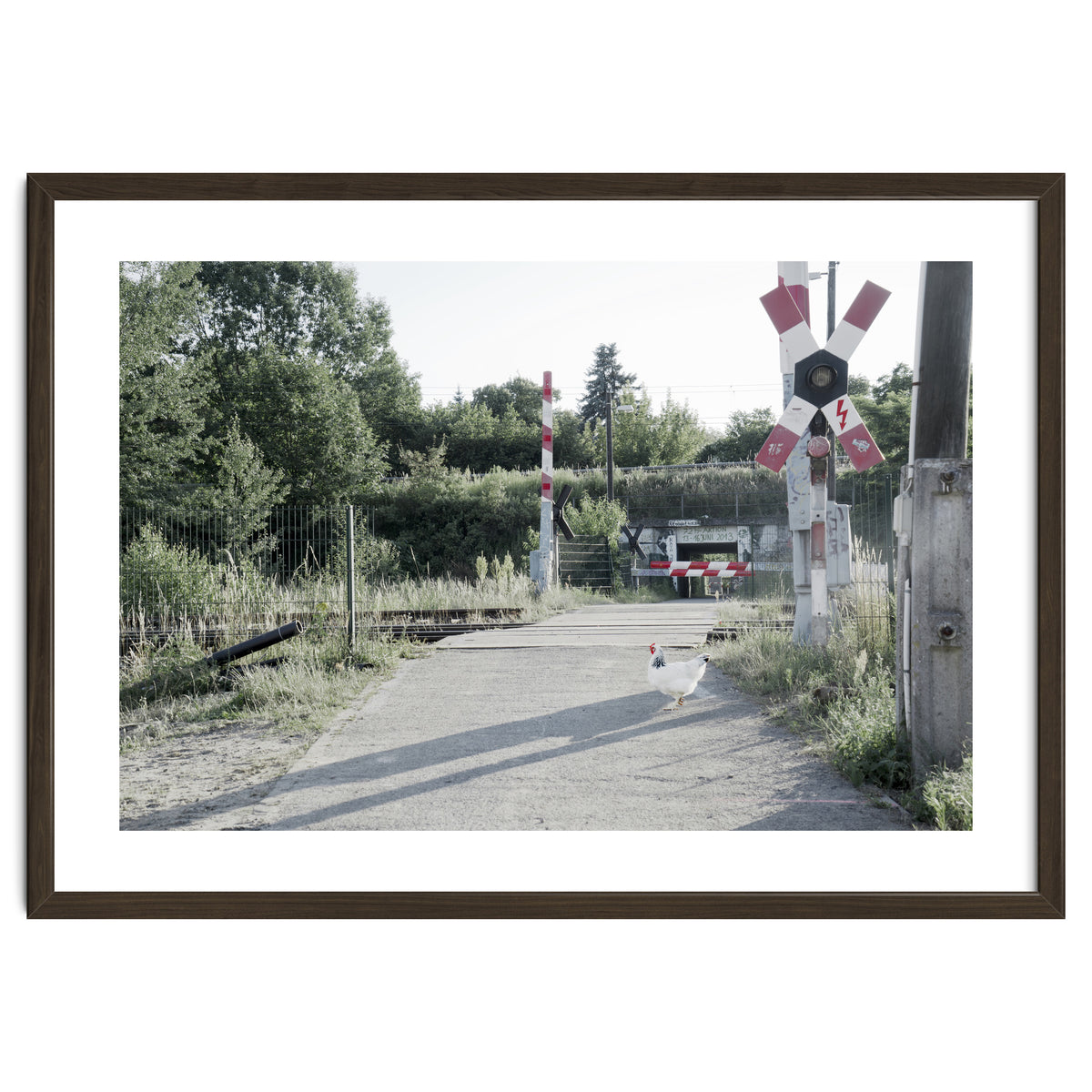 A chicken crossing a railroad