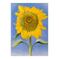 Georgia O’Keeffe – Sunflower, New Mexico (1935) | Bold Modernist Floral Painting Inspired by the American Southwest (Print Only)