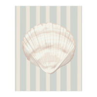 Sea shell (Print Only)