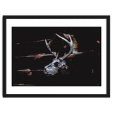 Deer Skull thumbnail