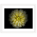 Backyard Flowers No 86 Color Flow Version thumbnail