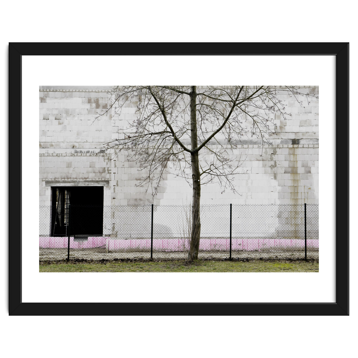 A tree in front of the wall