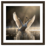 Graceful Swan Spreading Wings On Sparkling Water thumbnail
