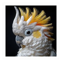 Close Up Cockatoo Portrait Yellow Crested Bird (Print Only)