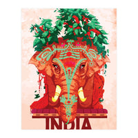Captivating India (Print Only)