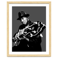 Taj Mahal American Blues Musician Legend