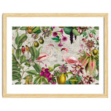 Flamingo Island 2 thumbnail