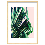 Palm V2 thumbnail