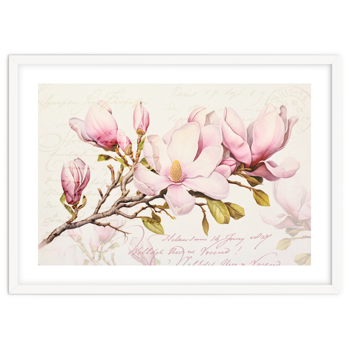 Magnolia Spring Romance Pink