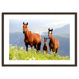 Three Horses thumbnail