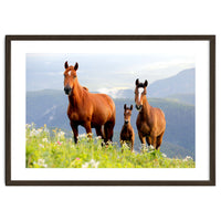 Three Horses