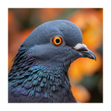 Close Up Of A Pigeon's Head And Neck (Print Only) thumbnail