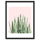 Botanical Balance thumbnail