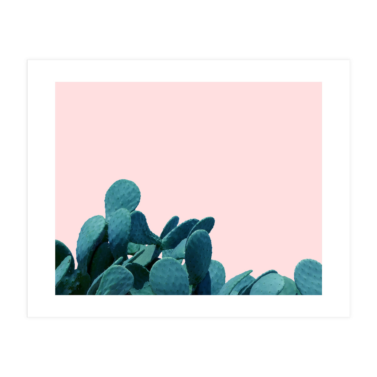 Kaktos (Print Only)