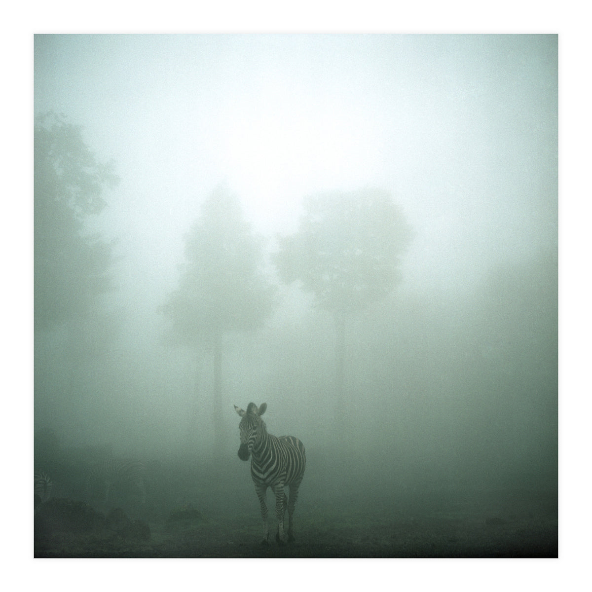 Silence of breath - 01 (Print Only)